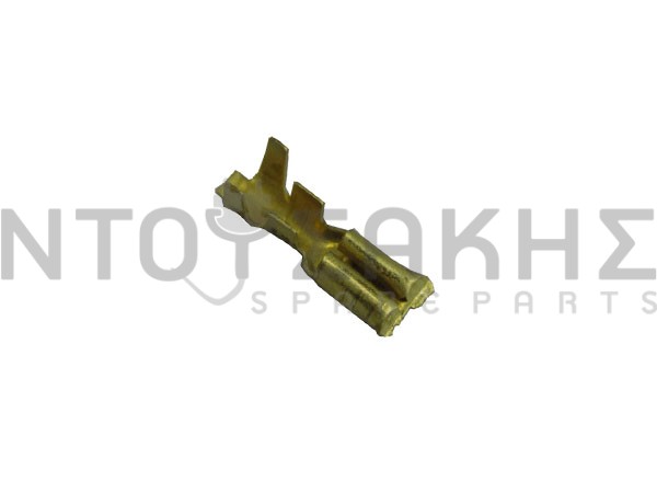ΑΚΡΟΔΕΚΤΕΣ image